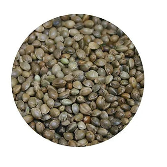 Copdock Mill Raw Hemp Seed For fishing