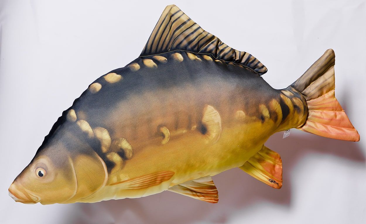 Gaby Pillows The Mirror Carp