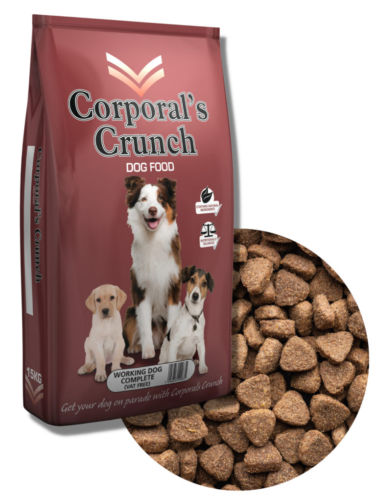 Corporal Cruch Working Dogs