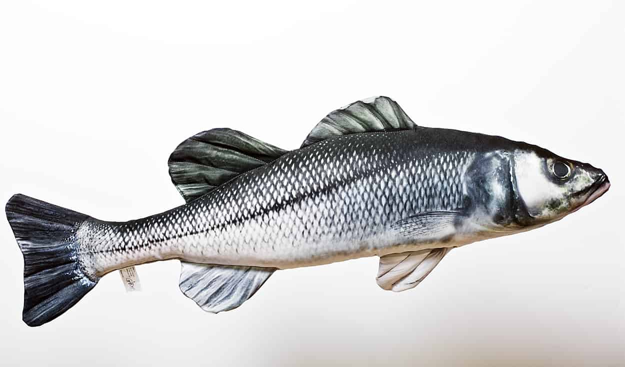 Gaby Fish Pillows Medium