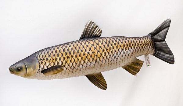Gaby Fish Pillows Medium