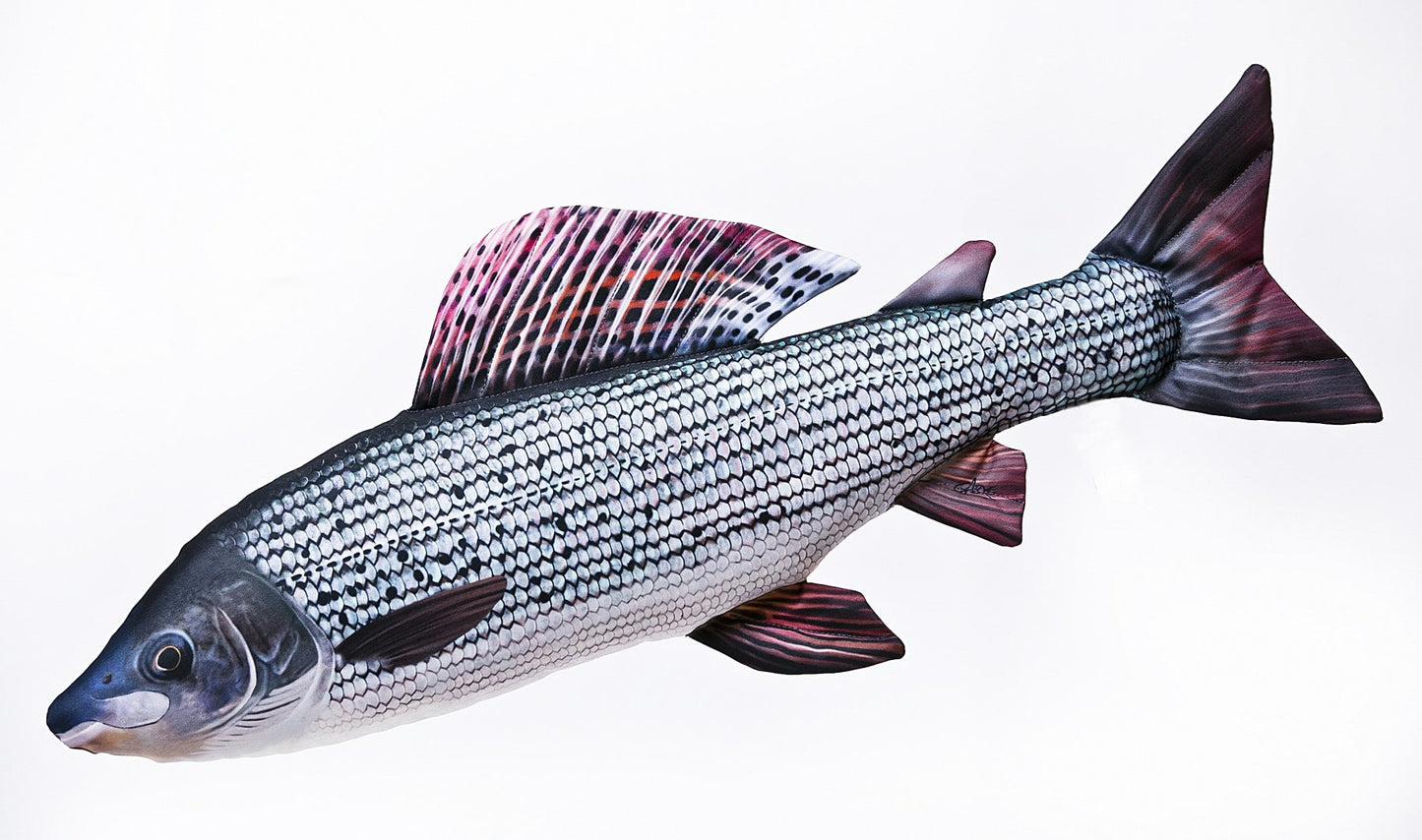 Gaby Fish Pillows Medium