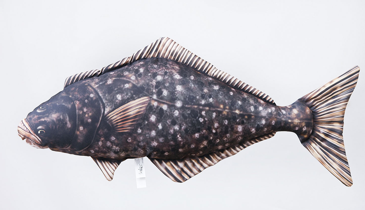 Gaby Fish Pillows Medium