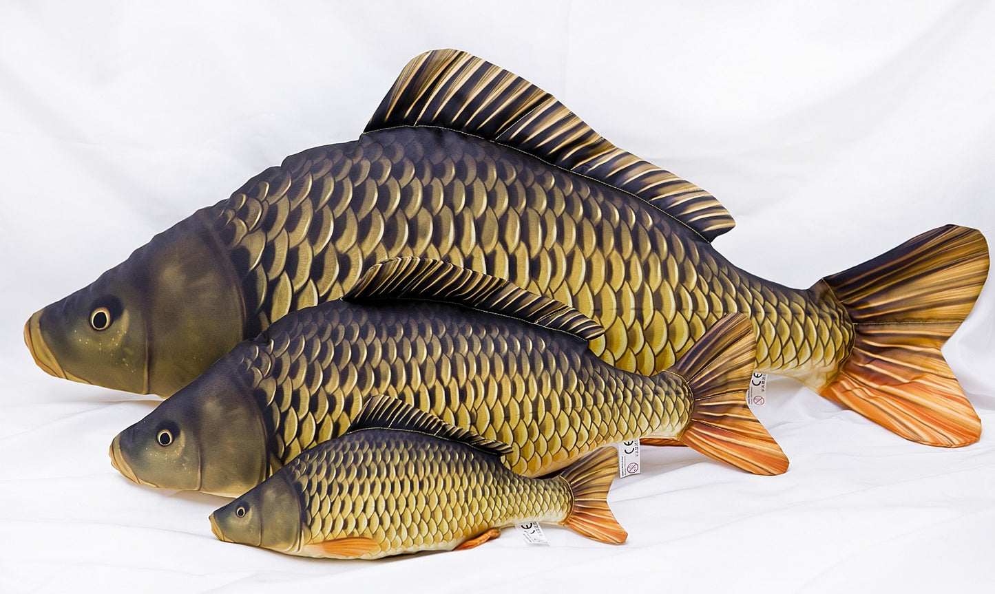Gaby Pillows- The Common Carp
