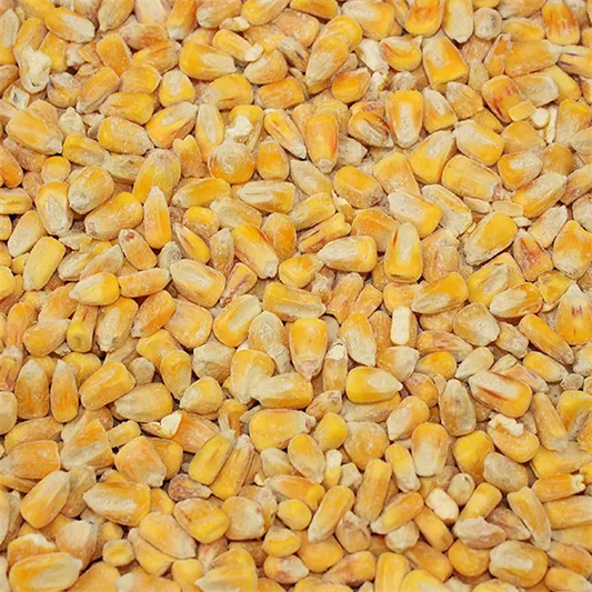 Copdock Angling Whole Maize